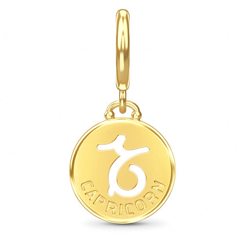 ENDLESS SILVER GOLD PLATED CAPRICORN ZODIAC COIN CHARM