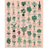 RIDLEY'S HOUSE PLANTS 1000 PIECE JIGSAW PUZZLE