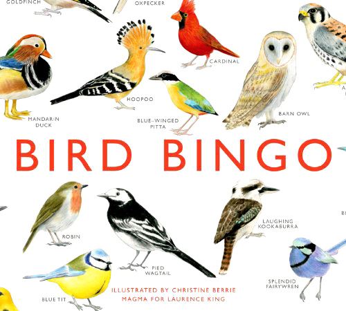 BIRD BINGO
